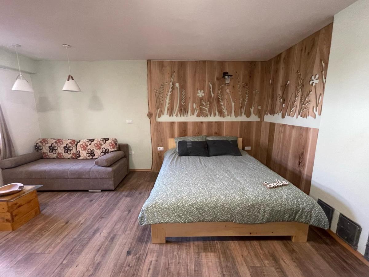 Old Square House - Hisa Na Starem Trgu Apartment Tolmin Bagian luar foto